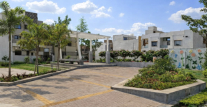 Colony Development at Rau