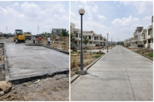 Colony Development in Rau